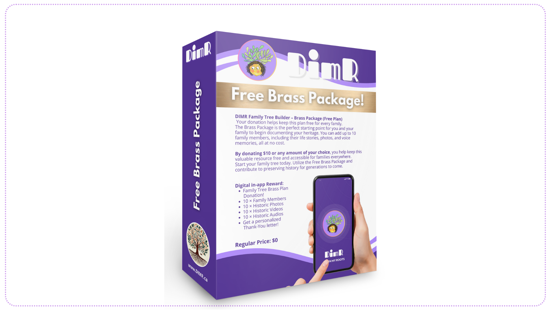 Dimr App Brass Package